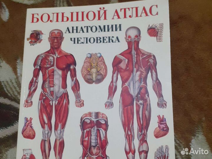 Атлас по анатомии человека