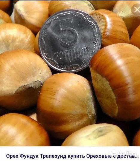 Орех миндаль, грецкий,фундук трапезунд