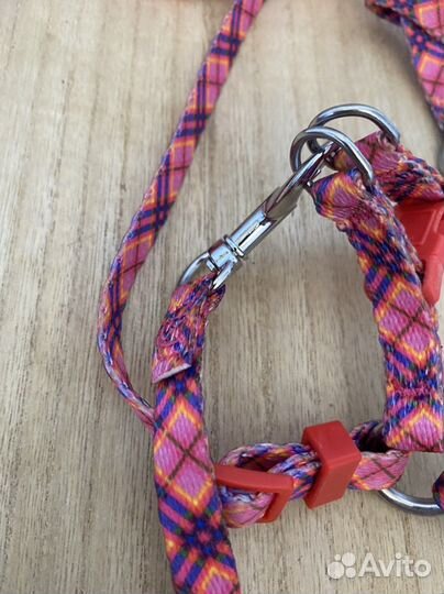 Поводок и шлейка для собаки