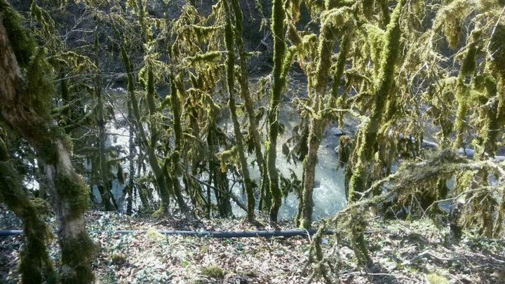 Дача 34,4 м² на участке 23,3 сот.