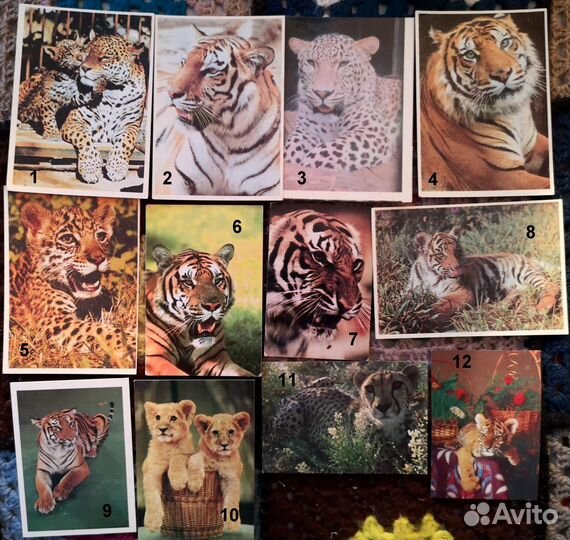 Календарики: кошки,собаки