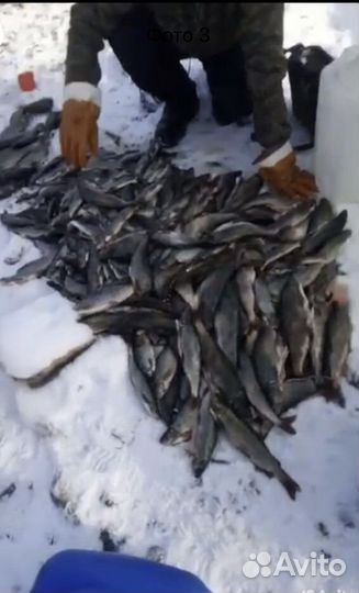 Мушки на Хариуса Голавля Жериха