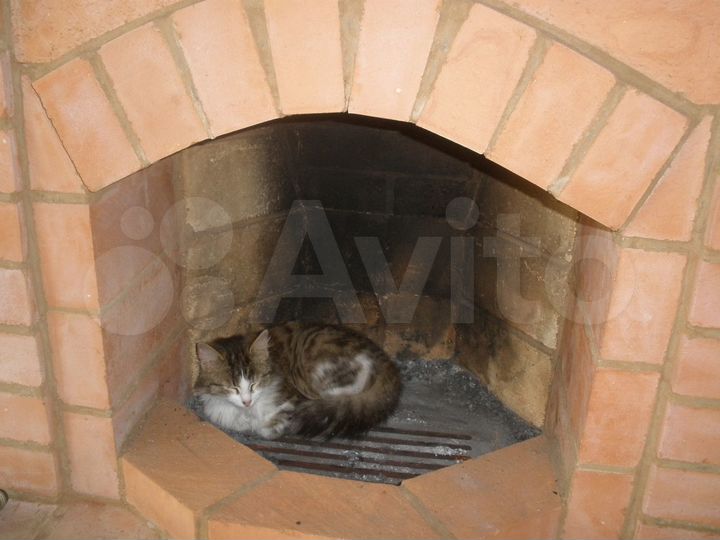 Дом 34 м² на участке 35 сот.