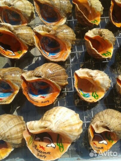 Сувенирный рапан