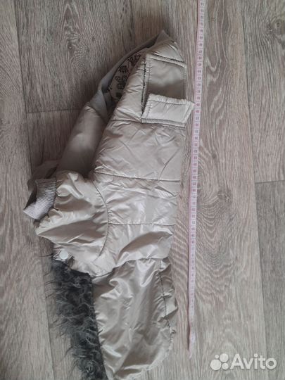 Одежда для средних собак