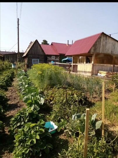 Дом 65 м² на участке 16 сот.