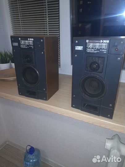 Колонки радиотехника s-30b