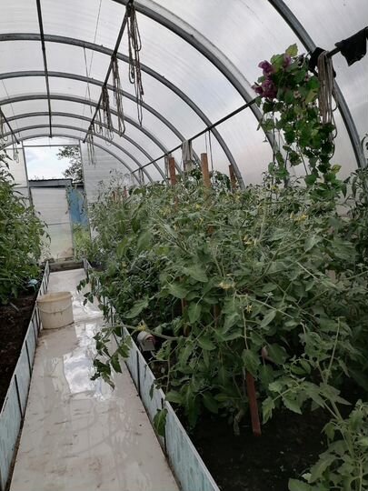 Дача 12 м² на участке 4,5 сот.