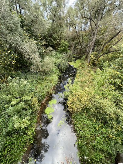 Участок 38 га (СНТ, ДНП)