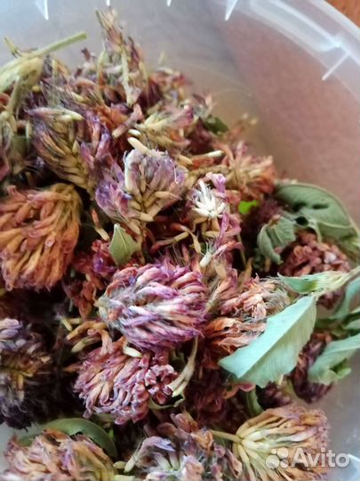 Сушоное лакомство для грызунов