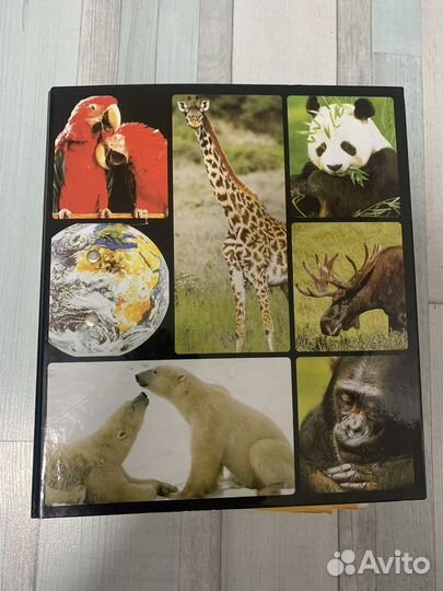 В мире дикой природы