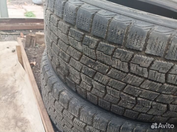 Goodyear Ice Navi Zea 205/55 R16