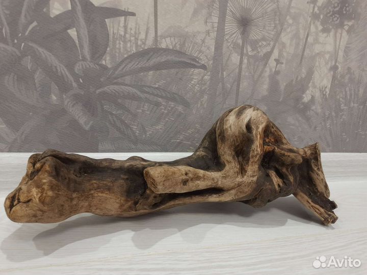 Коряга в аквариум