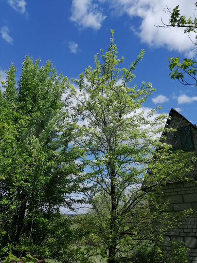 Дача 15 м² на участке 7 сот.