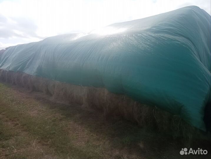 Продам сено в рулонах