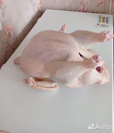 Домашнее мясо индейки и кур