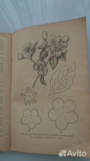 Книга искусство делать цветы