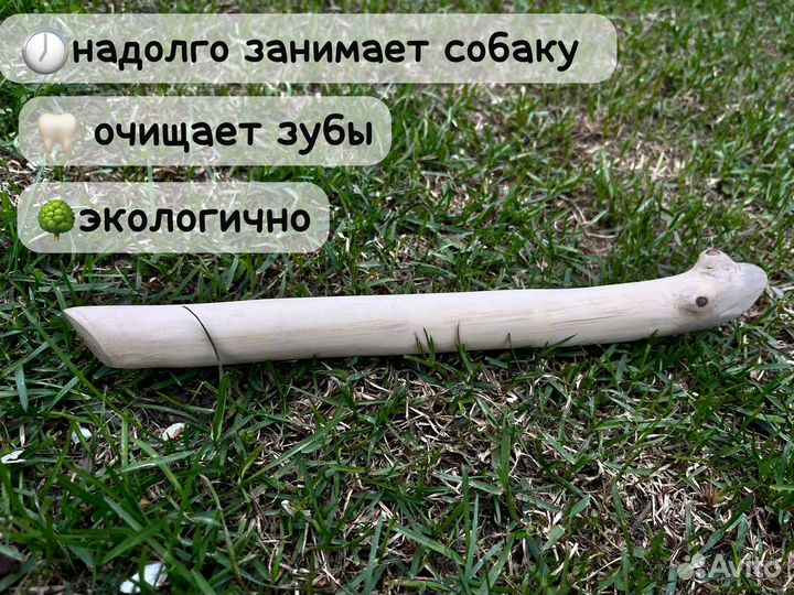 Палка для собак