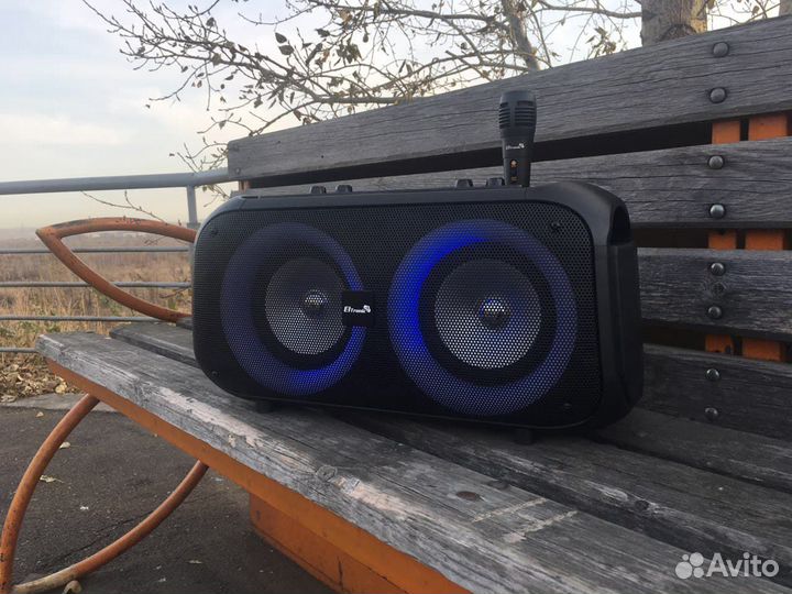 Музыкальная колонка с радио Eltronic