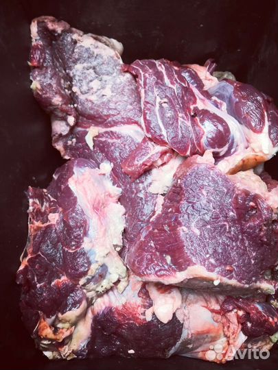 Говядина и субпродукты для животных