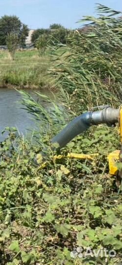 Аренда мотопомпы, откачка воды