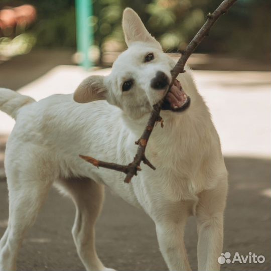 Маленькая Белочка с сердечком для любви