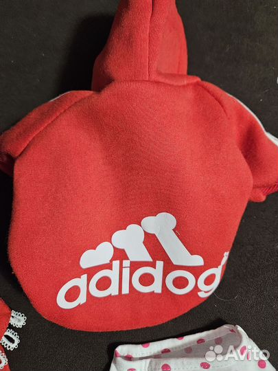 Одежда для маленьких собак