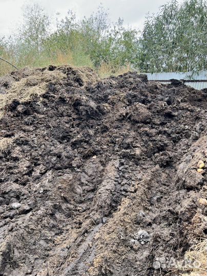 Продам навоз, перегной