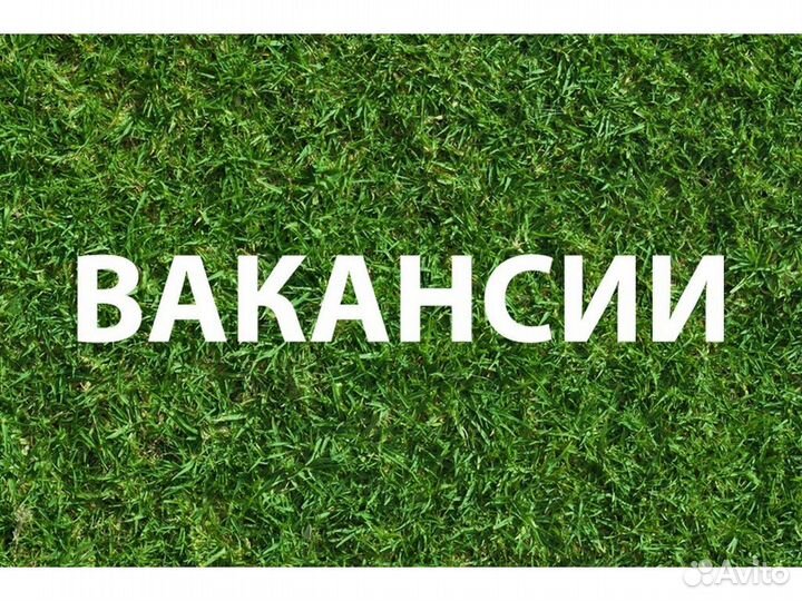 Вахта Разнорабочие прожив. /еда Еженед.выплаты /Хо