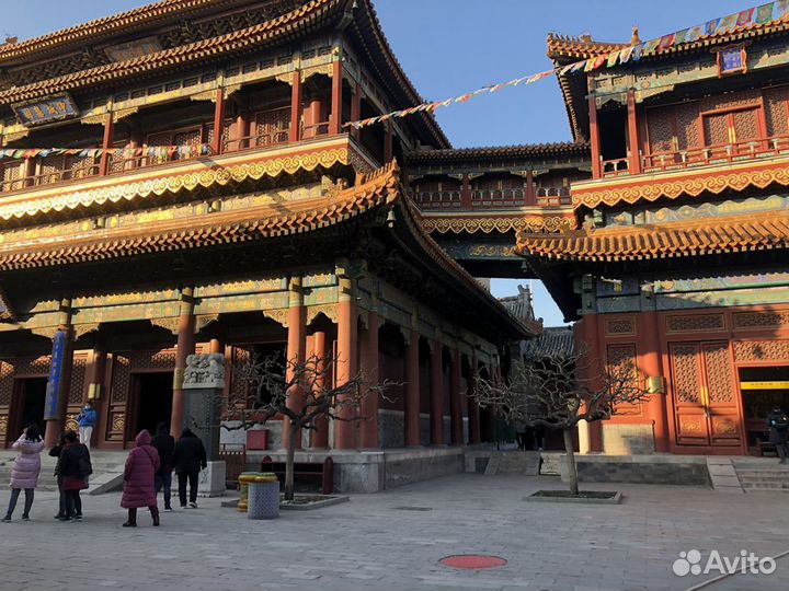 Дипломированный учитель китайского языка