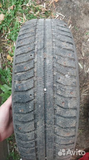 Amtel NordMaster 2 195/65 R15 91M