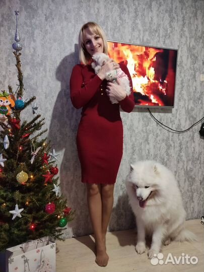 Передержка домашних животных