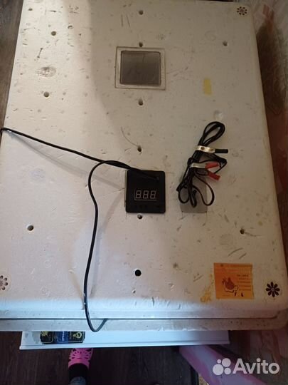 Инкубатор для яиц автоматический бу