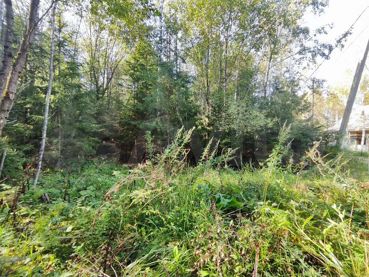 Участок 12 сот. (ИЖС)