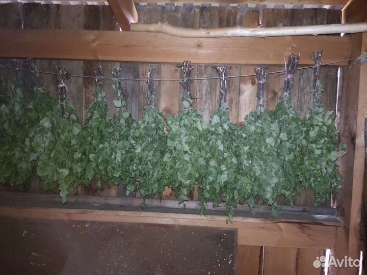 Веники берёзовые