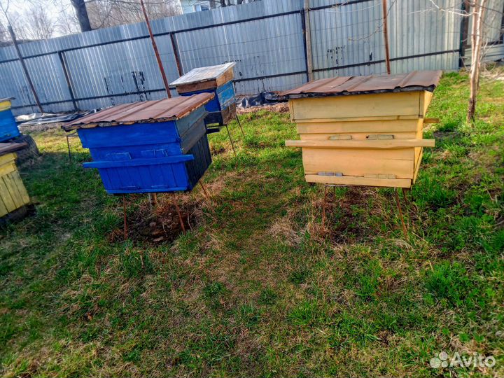 Ульи для пчел