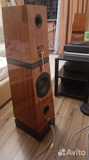 Verity Audio Parsifal