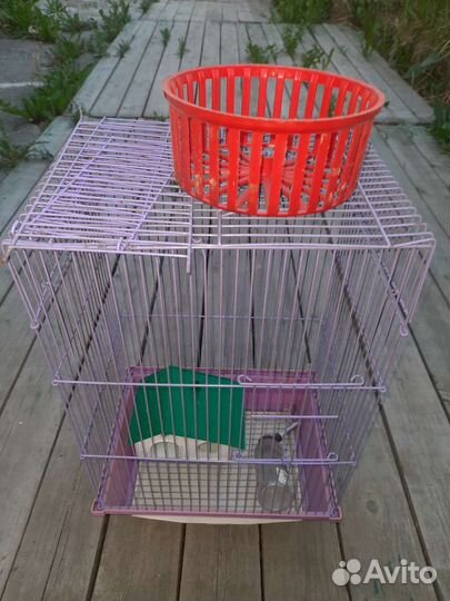 Клетка для грызунов