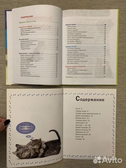 Детские книги про кошек