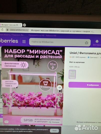 Минисад для рассады