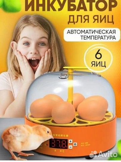 Инкубатор для яиц автоматический