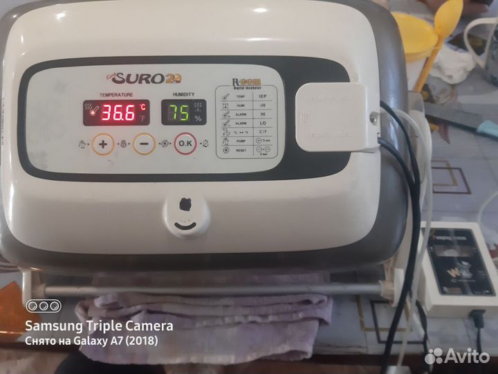 Инкубатор для яиц автоматический