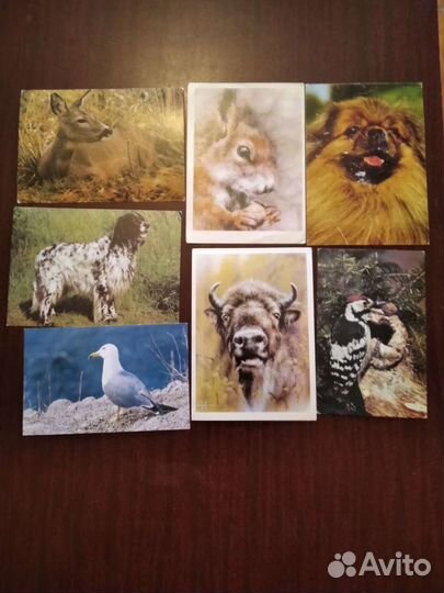 Открытки, наборы СССР. Артисты