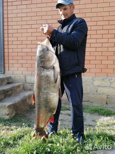 Рыбалка и отдых в Астрахани