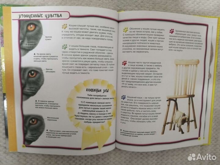 Детская книга