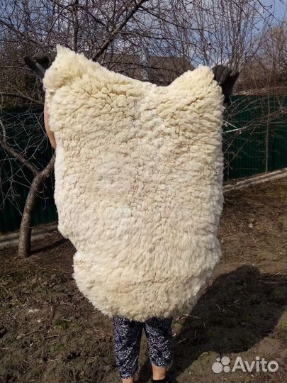 Шкура овчины