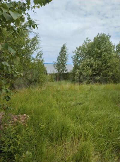 Участок 15 сот. (ИЖС)