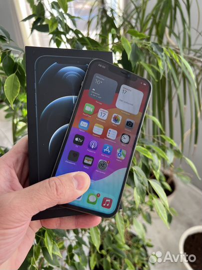 iPhone 12 Pro Max, 128 ГБ