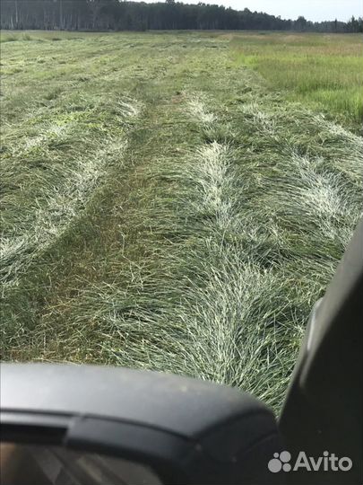 Сено., Тюки. Рулоны Доставка