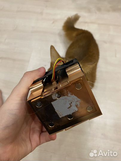 Кулер процеccорный